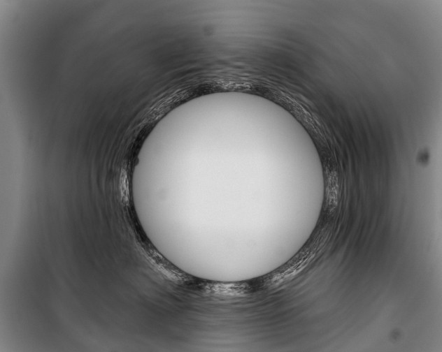 X0000101210622200806270855