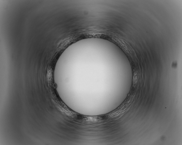 X0000101210623200806270855