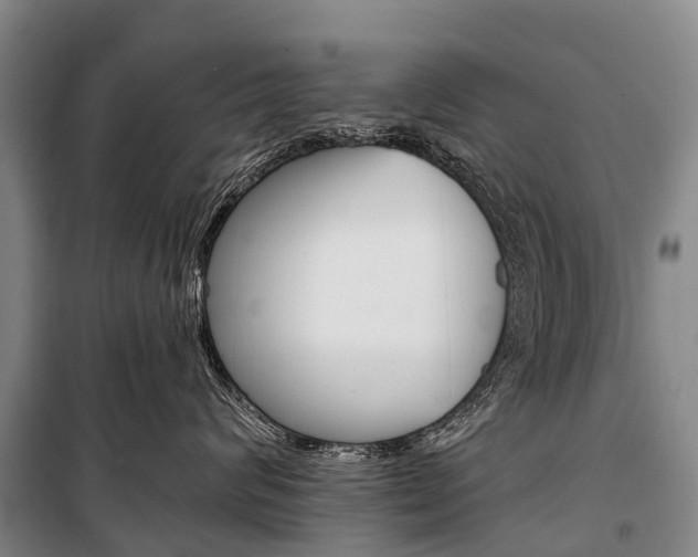 X0000101210624200806270855