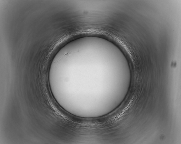 X0000101210625200806270855