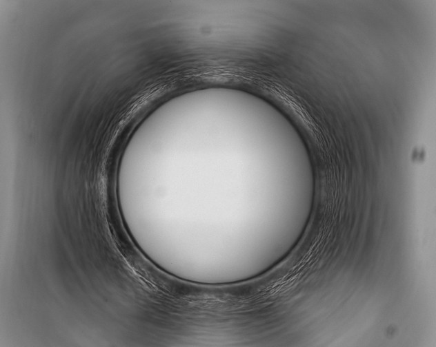 X0000101210626200806270855