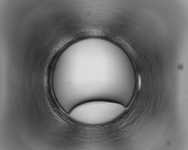 X0000101210627200806270855