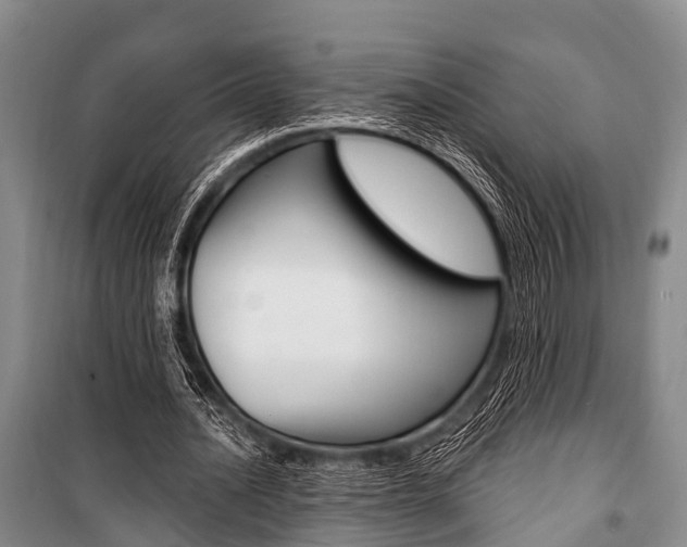 X0000101210628200806270855