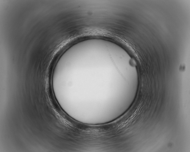 X0000101210629200806270855