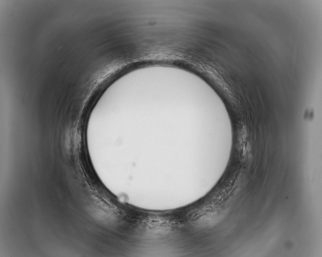 X0000101210632200806270855