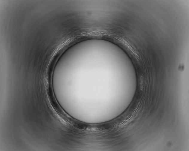 X0000101210634200806270855