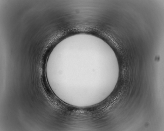 X0000101210635200806270855