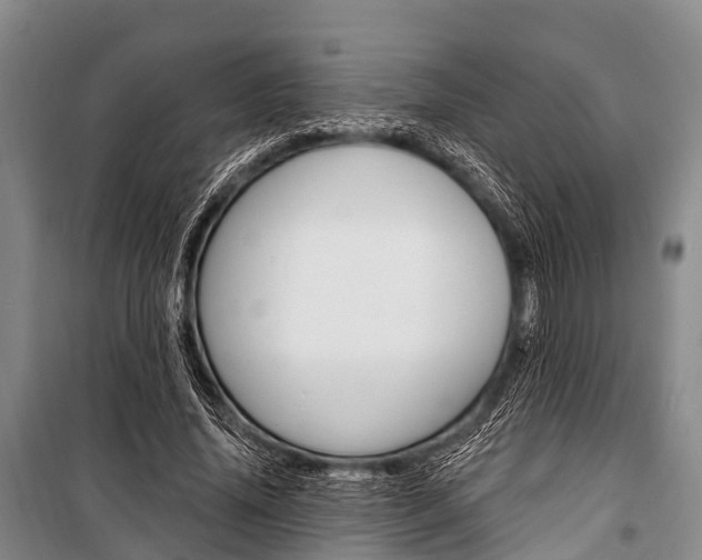 X0000101210636200806270855