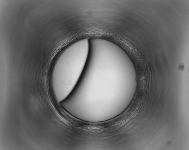 X0000101210638200806270855
