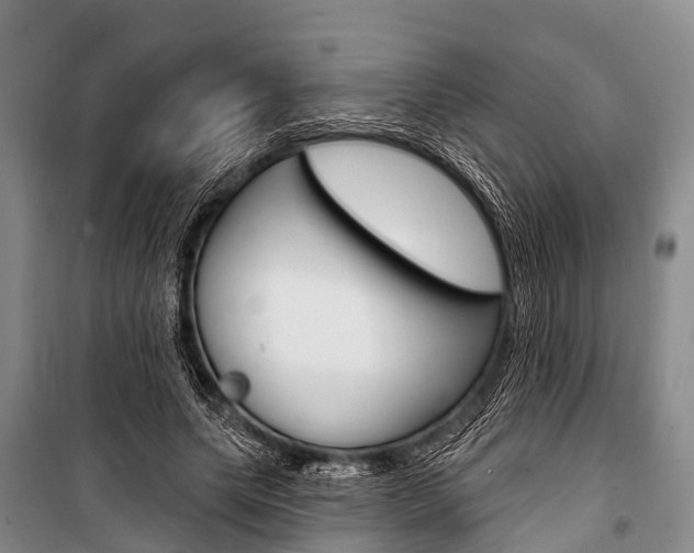 X0000101210639200806270855