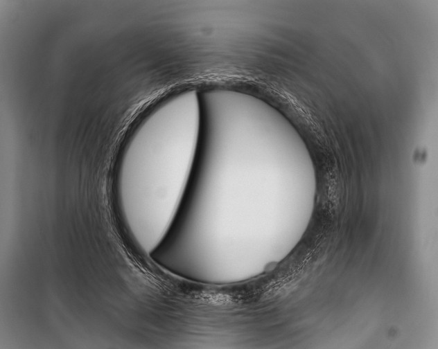 X0000101210640200806270855