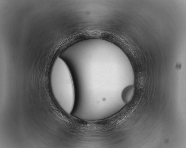 X0000101210641200806270855
