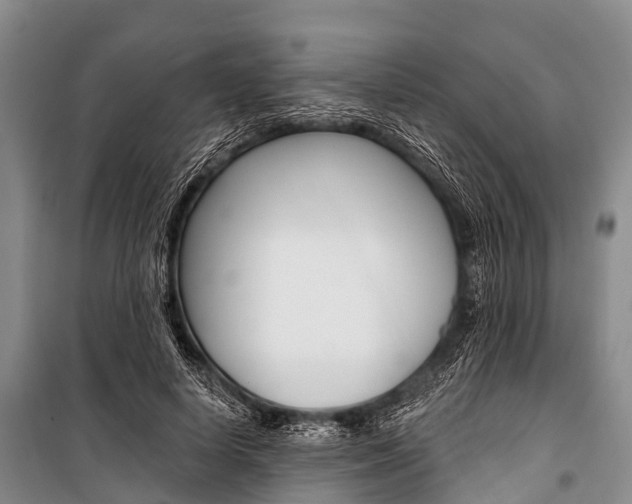 X0000101210642200806270855