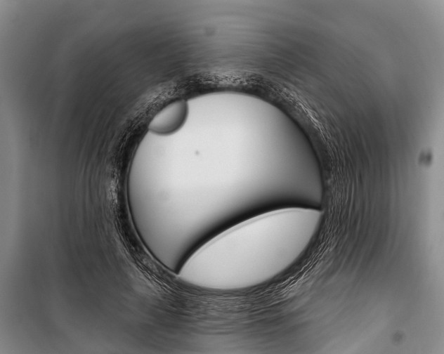 X0000101210643200806270855