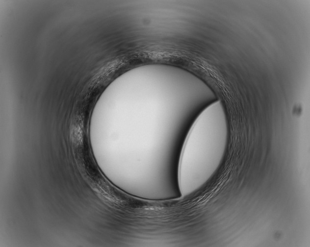 X0000101210644200806270855