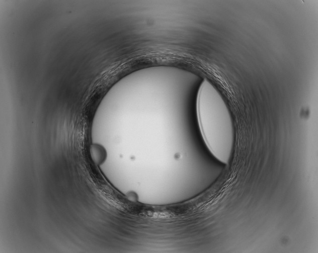 X0000101210645200806270855