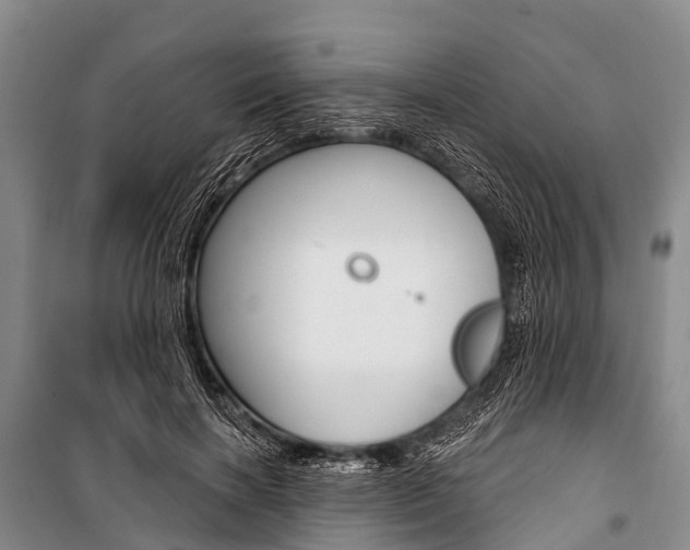 X0000101210646200806270855