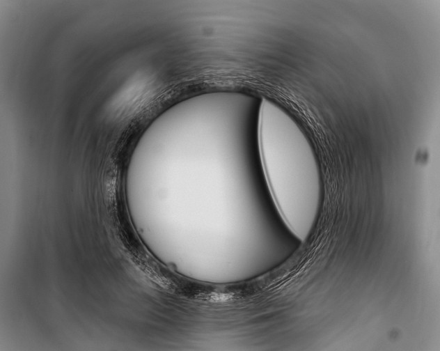 X0000101210647200806270855