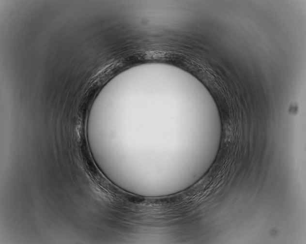 X0000101210648200806270855