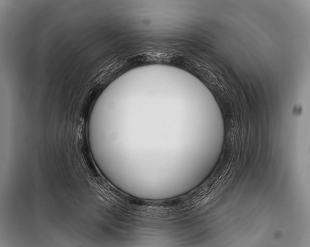 X0000101210649200806270855