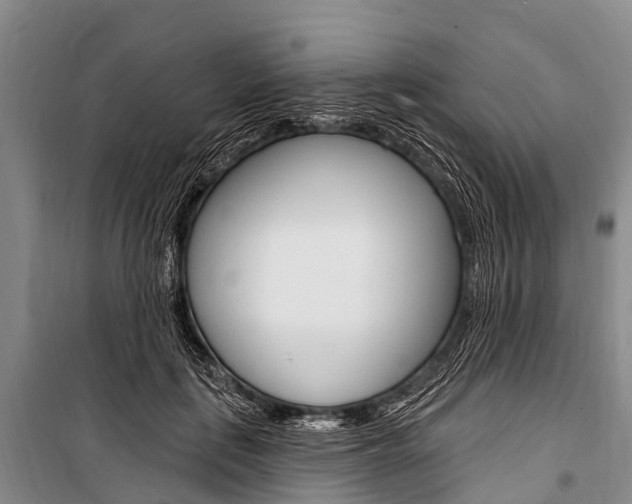 X0000101210651200806270855