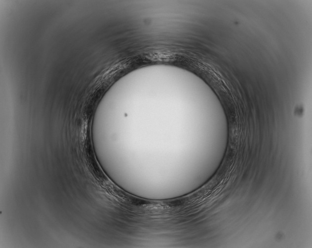 X0000101210652200806270855
