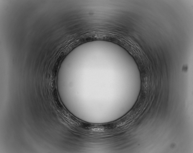 X0000101210653200806270855