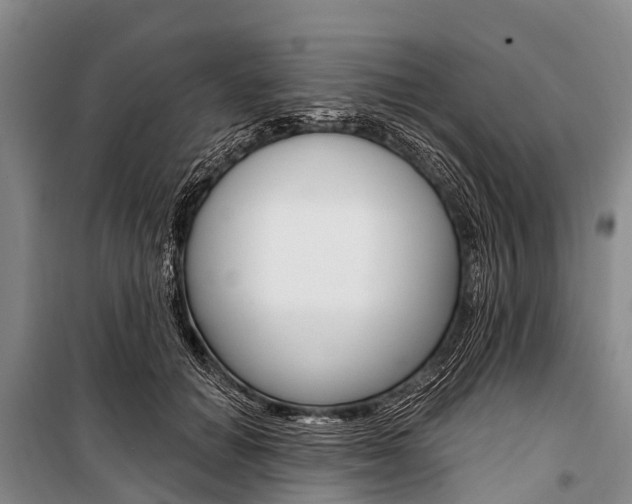 X0000101210654200806270855