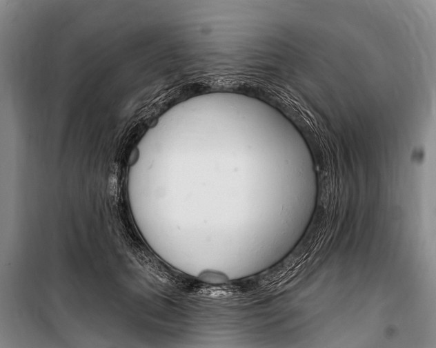 X0000101210655200806270855