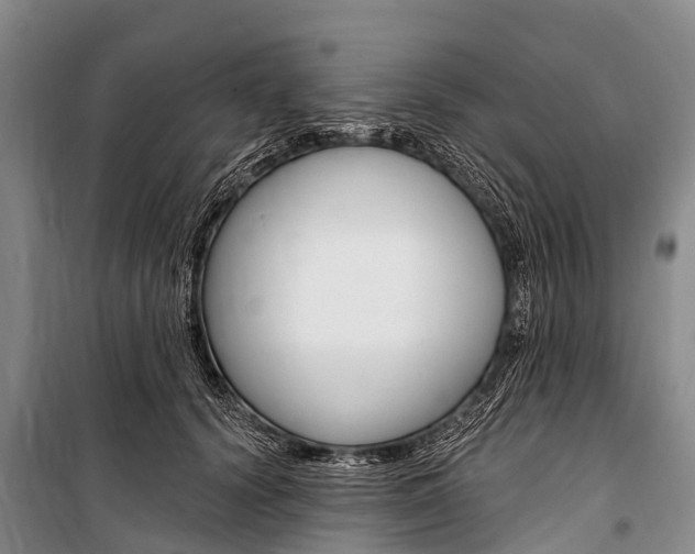 X0000101210656200806270855