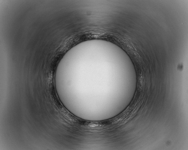 X0000101210657200806270855
