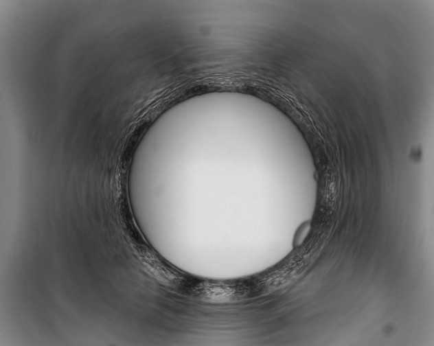 X0000101210658200806270855