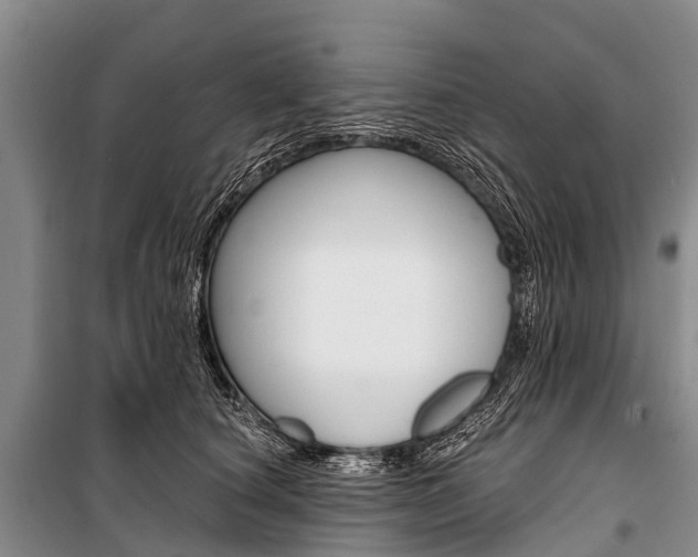 X0000101210660200806270855