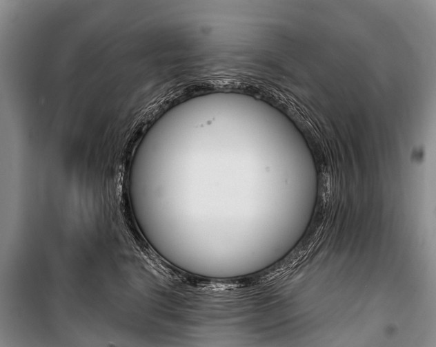 X0000101210664200806270855