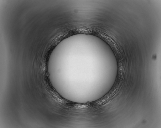 X0000101210665200806270855