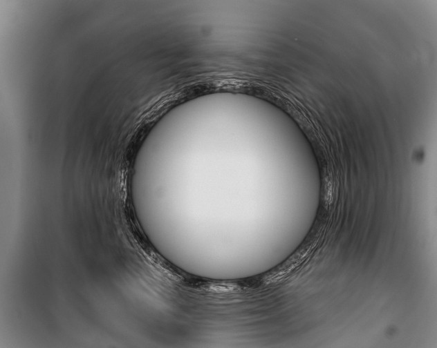 X0000101210666200806270855