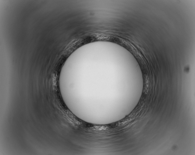 X0000101210667200806270855