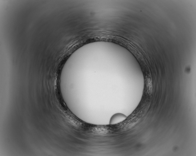 X0000101210668200806270855
