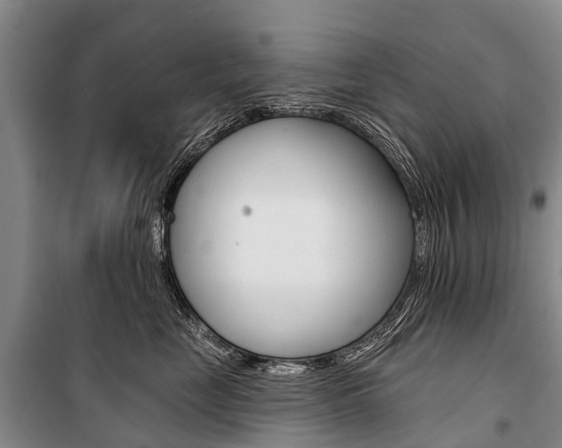 X0000101210669200806270855