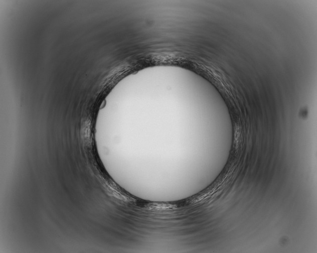 X0000101210670200806270855