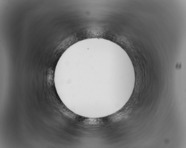 X0000101210672200806270855