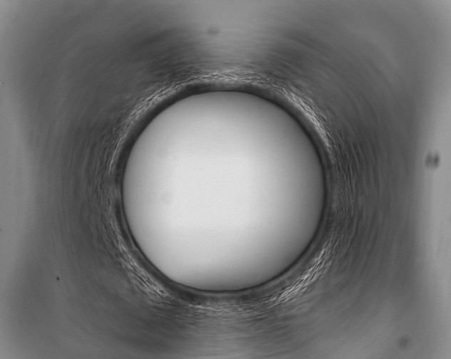 X0000101210673200806270855
