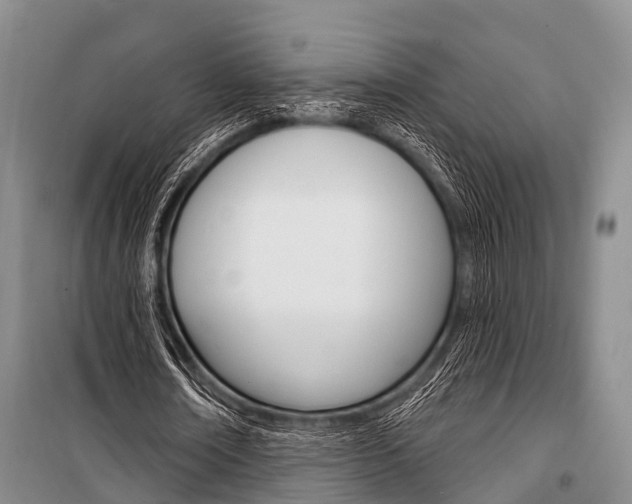 X0000101210674200806270855