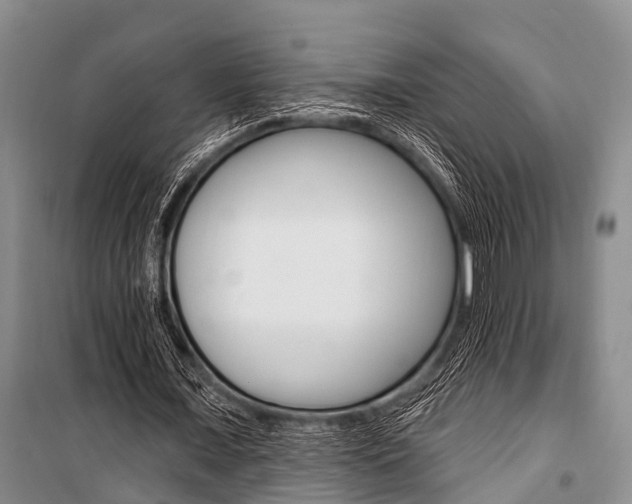 X0000101210675200806270855