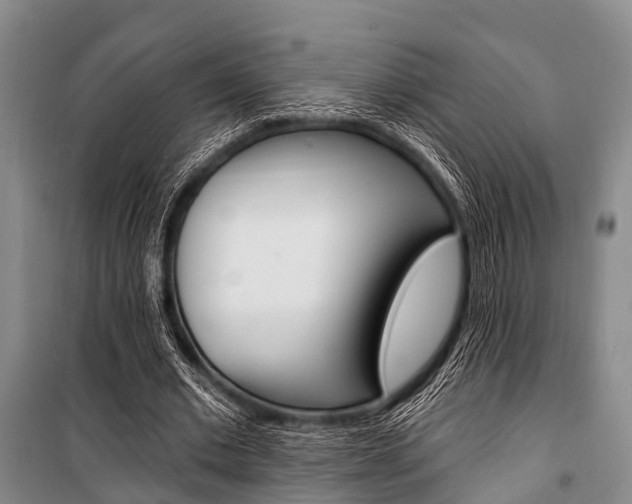 X0000101210677200806270855