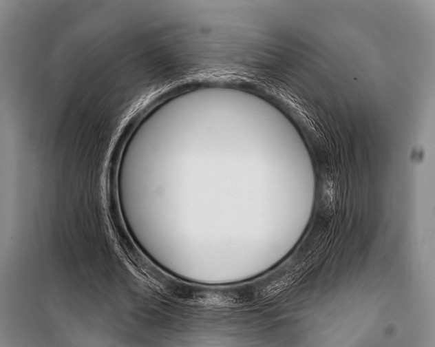 X0000101210678200806270855