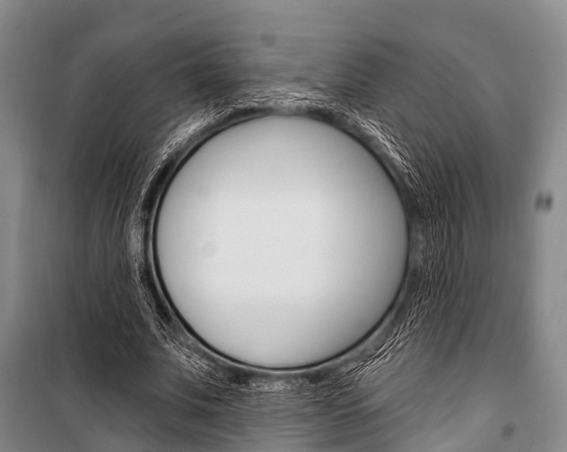 X0000101210679200806270855