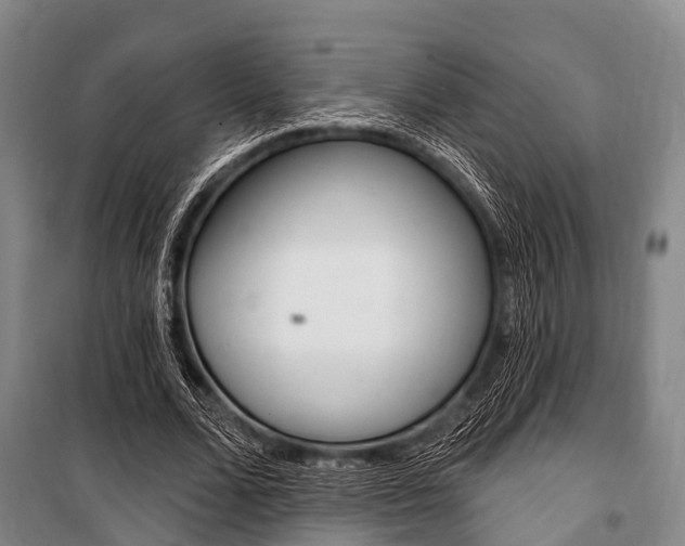 X0000101210680200806270855