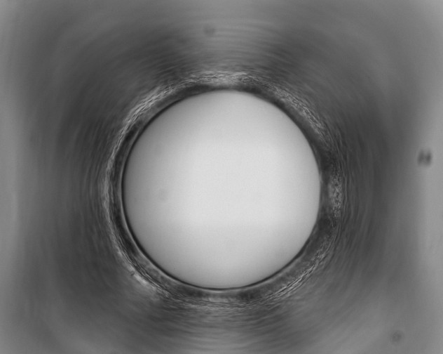 X0000101210682200806270855