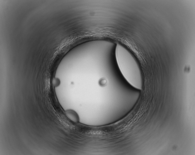 X0000101210685200806270854